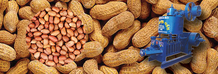 Groundnut Oil Mill Plant